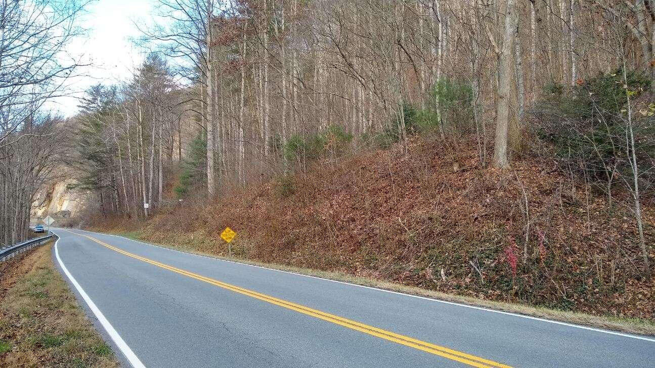 Lot 29-ac Roan Creek Road, Unit 5 Butler, TN 37640 - Photo 2 of 6 image000000