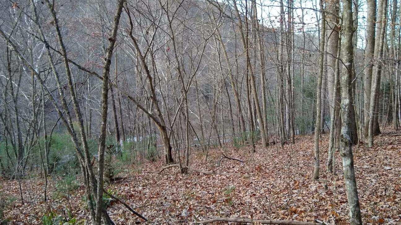 Lot 29-ac Roan Creek Road, Unit 5 Butler, TN 37640 - Photo 3 of 6 image000002