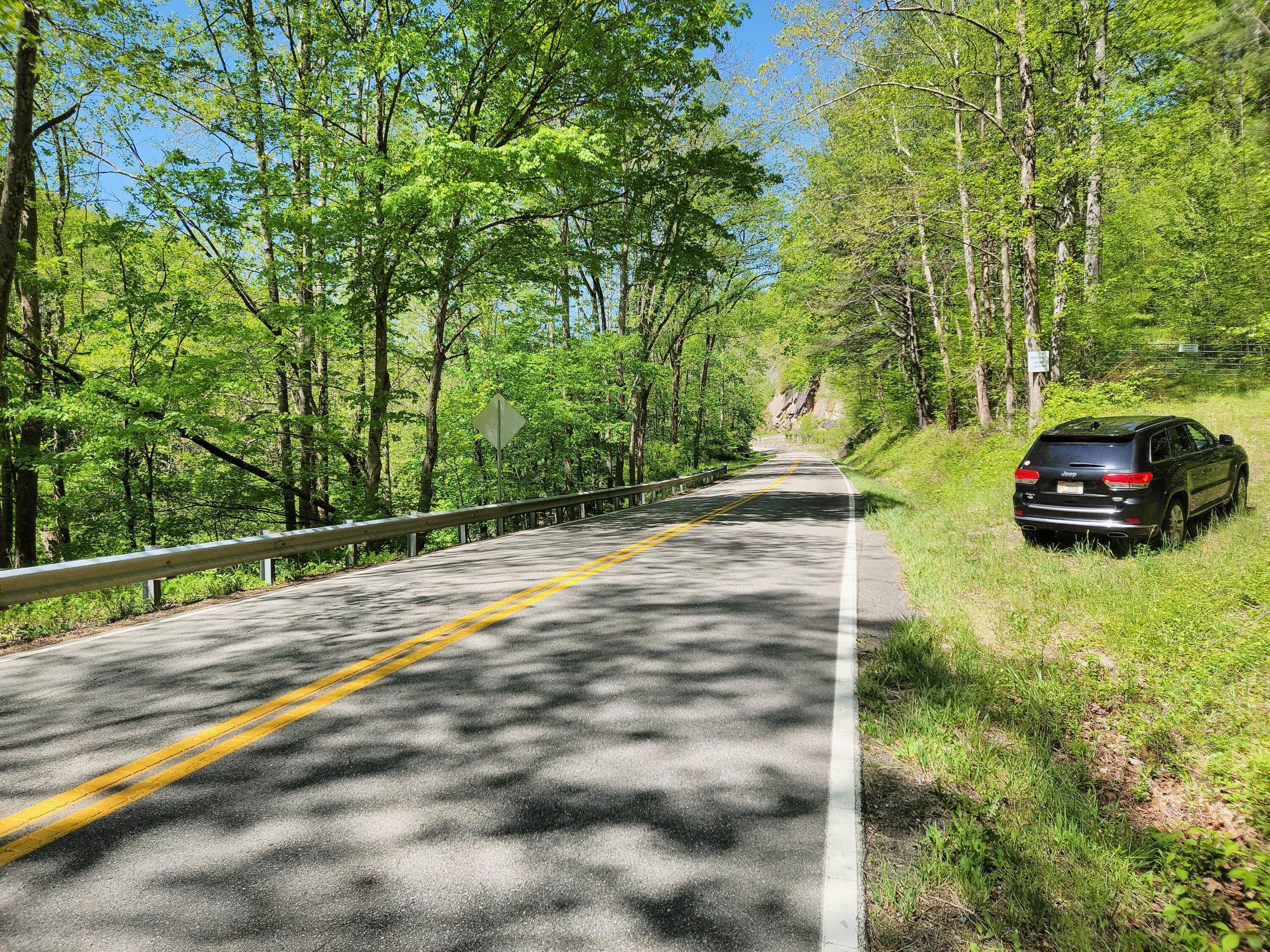 Lot 29-ac Roan Creek Road, Unit 5 Butler, TN 37640 - Photo 5 of 6 IMG_20220509_113017_HDR