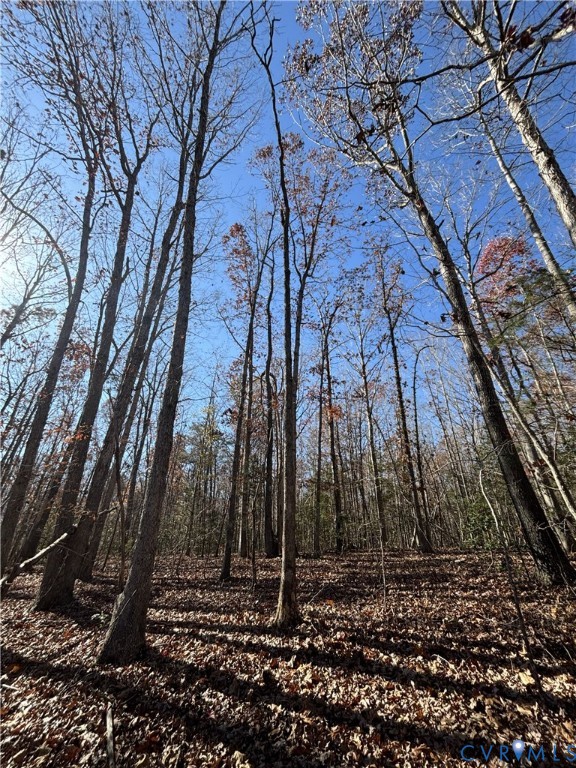 Lot 4 Diggstown Road Bumpass, VA 23024 - Photo 2 of 7 Looking up the ridge at the potential homesite