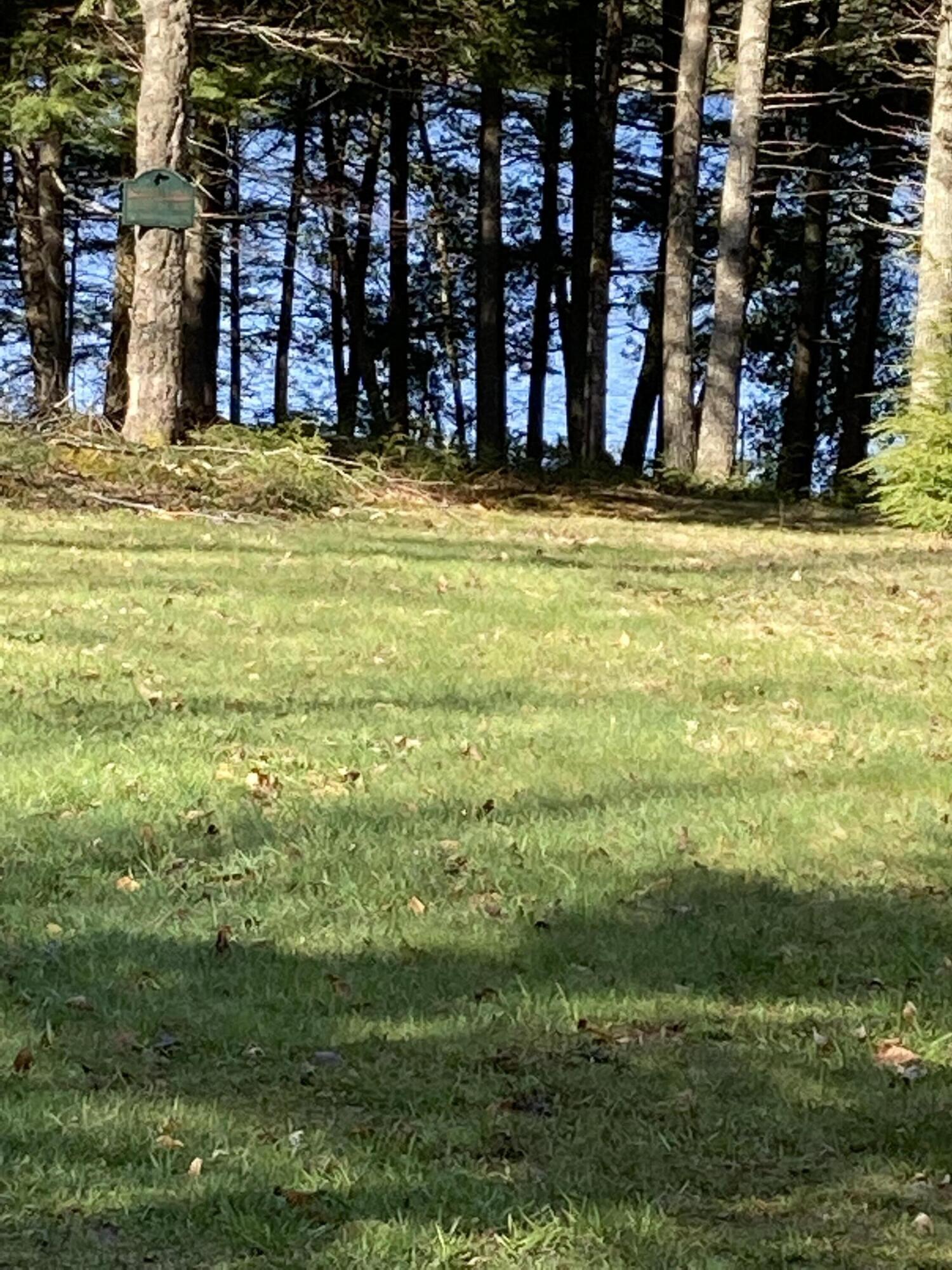 15 Robs Road Danforth, ME 04424 - Photo 27 of 29 IMG_4625(1)