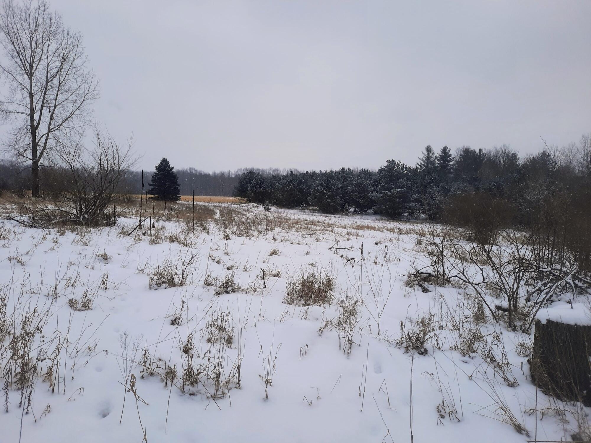 3398 North Miles Road Stanton, MI 48888 - Photo 6 of 6 11DFF596-C67A-4871-90A6-DF3E7DEAD170