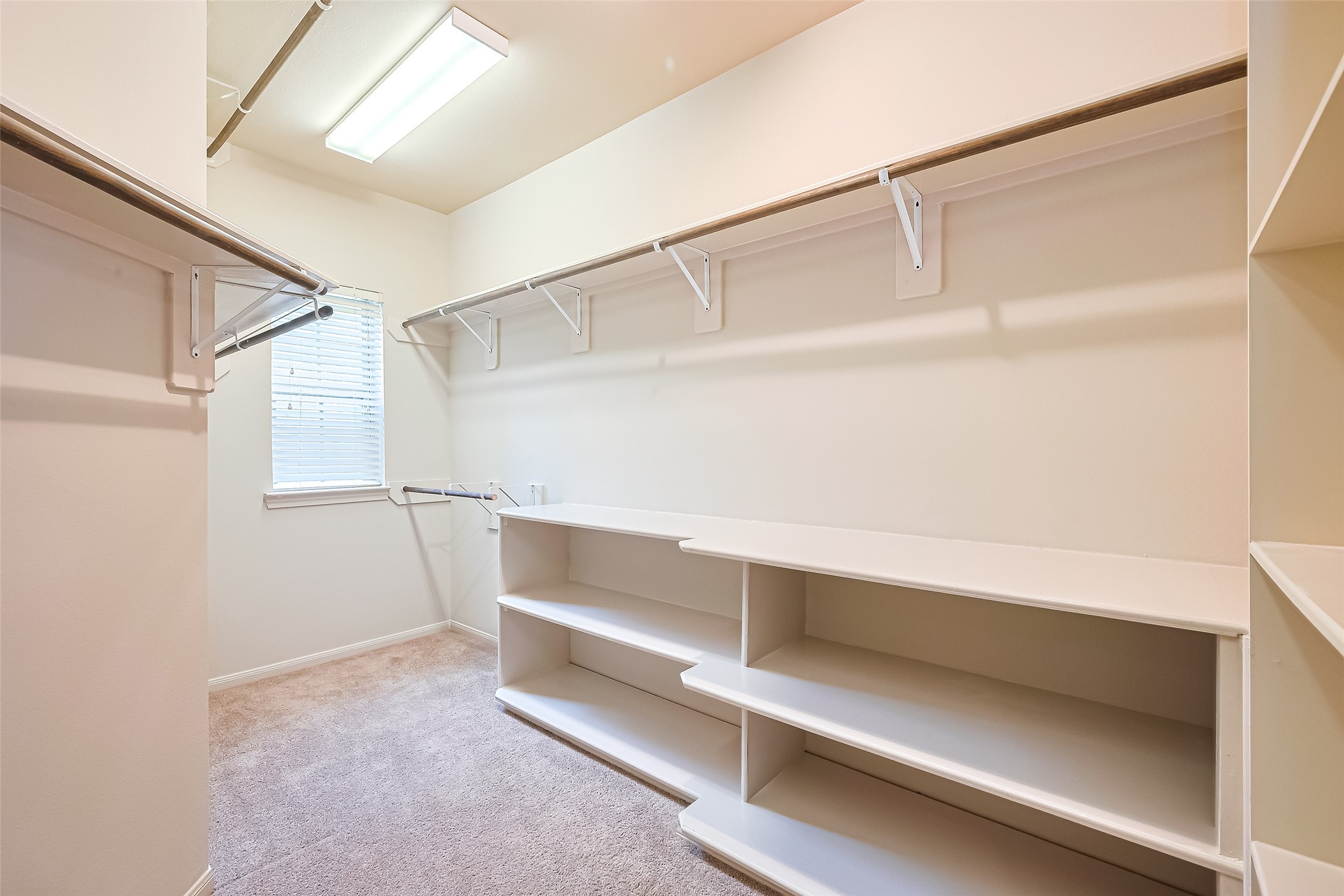 19 Sandwell Place Spring, TX 77389 - Photo 27 of 50 Generous walk-in closet with ample storage and organization space.