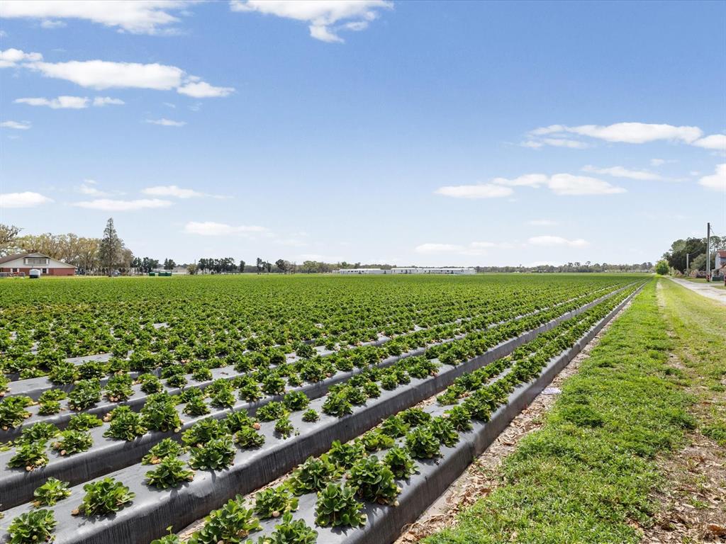 3135 South Northview Road Plant City, FL 33566 - Photo 73 of 75