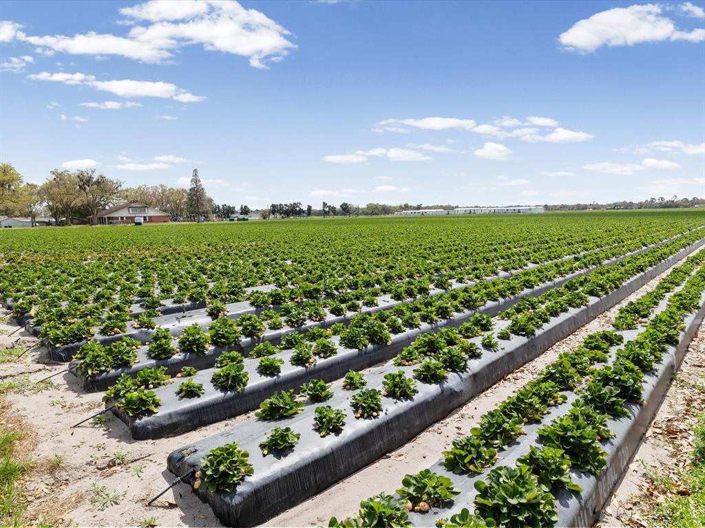 3135 South Northview Road Plant City, FL 33566 - Photo 75 of 75