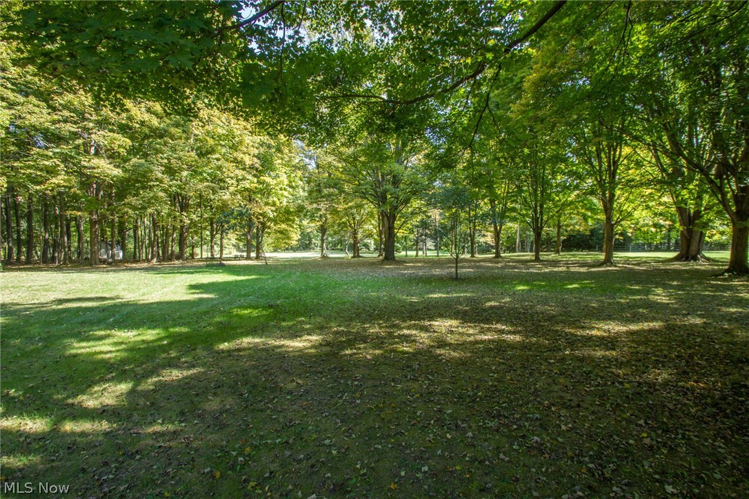 549 Riverview Road Gates Mills, OH 44040 - Photo 25 of 30 Back Yard