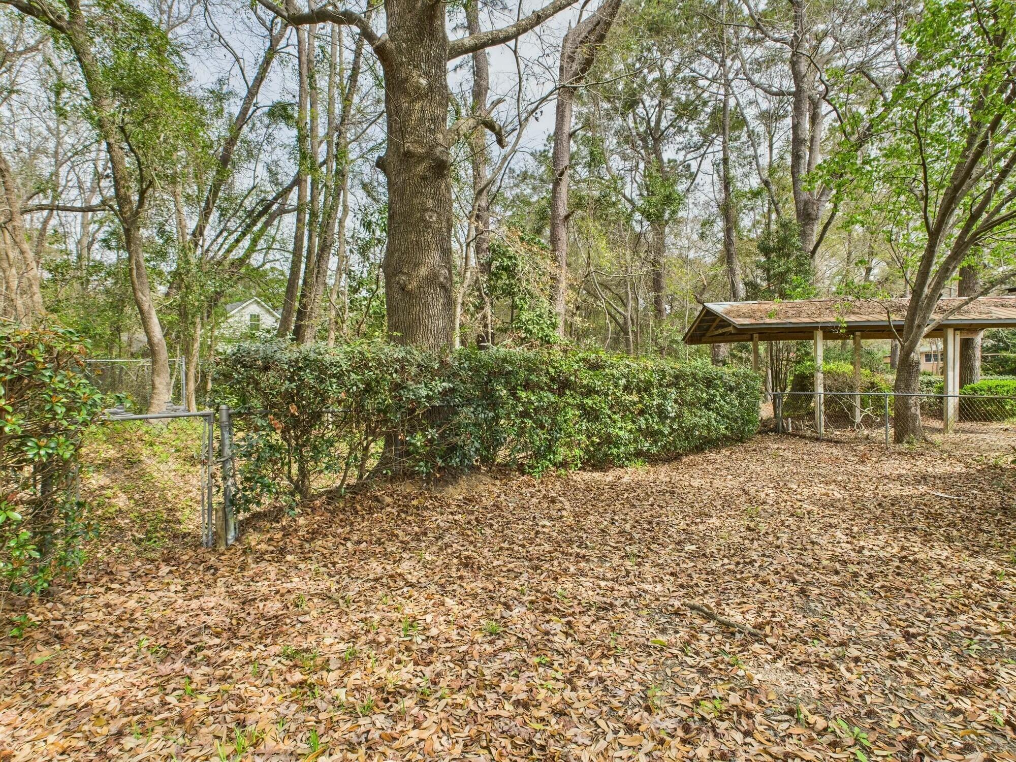 1876 Chilhowee Drive Johns Island, SC 29455 - Photo 23 of 26 w