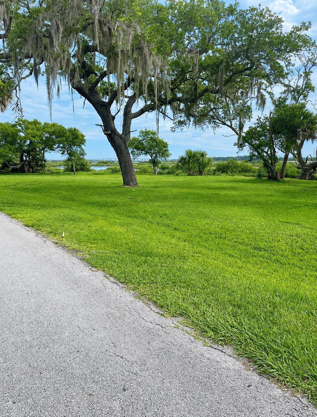146 Swallow Road St. Augustine, FL 32086 - Photo 14 of 15 Gallery Image 14