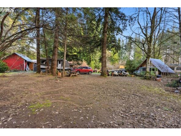 1250 Yale Bridge Road Amboy, WA 98601 - Photo 13 of 16