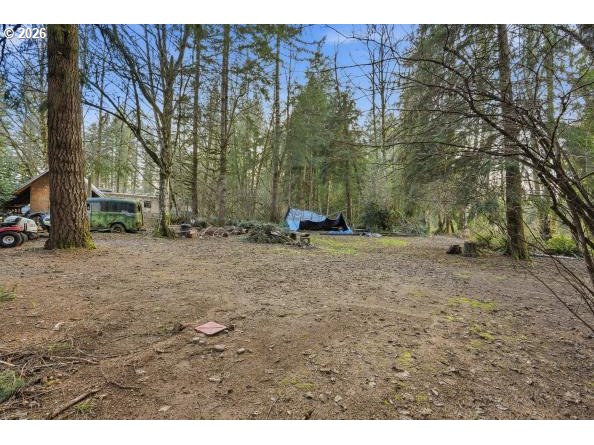 1250 Yale Bridge Road Amboy, WA 98601 - Photo 14 of 16