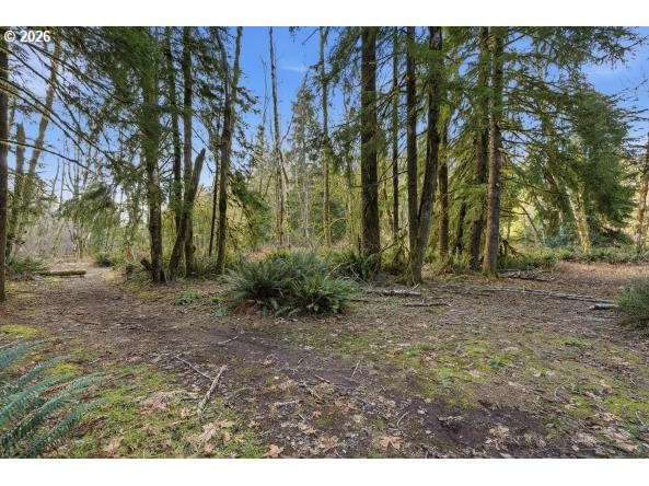 1250 Yale Bridge Road Amboy, WA 98601 - Photo 15 of 16