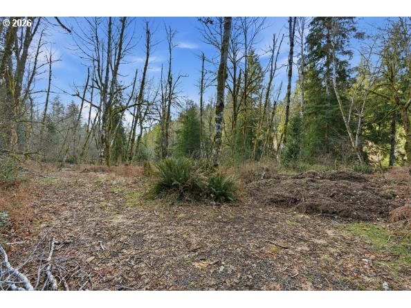 1250 Yale Bridge Road Amboy, WA 98601 - Photo 16 of 16