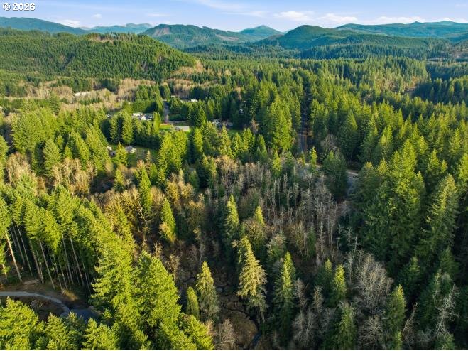 1250 Yale Bridge Road Amboy, WA 98601 - Photo 4 of 16