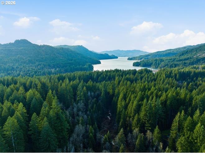 1250 Yale Bridge Road Amboy, WA 98601 - Photo 7 of 16