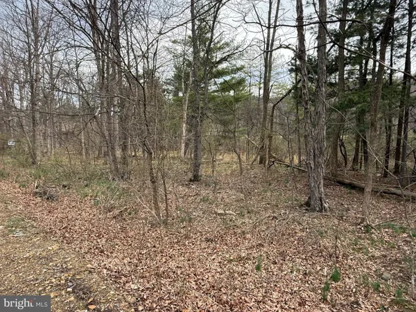 $79,900 | Timberlake Estates, New Creek, WV 26743
