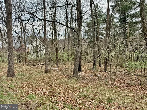 $79,900 | Timberlake Estates, New Creek, WV 26743