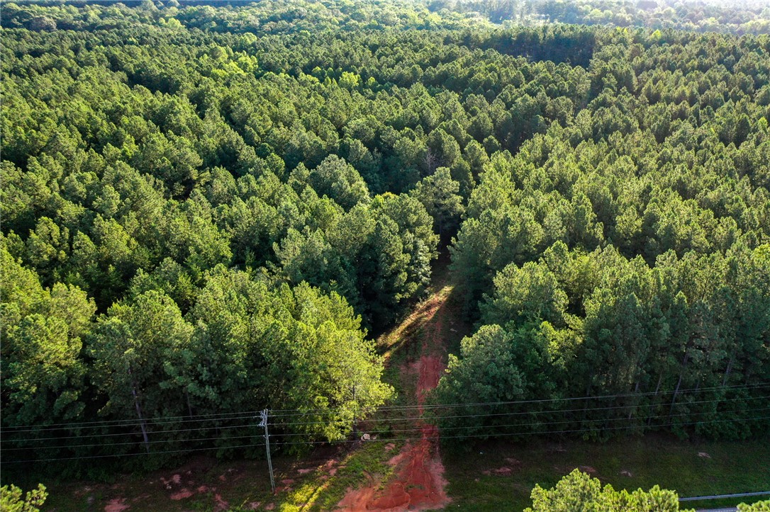 8006 Keowee School Road Seneca, SC 29672 - Photo 5 of 12