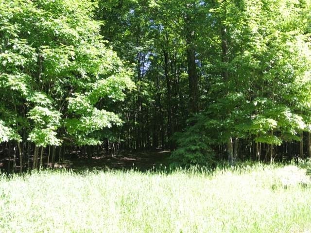Three Connors Road Three Lakes, WI 54562 - Photo 6 of 11 Gallery Image 6