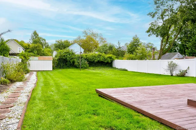 a view of a backyard with plants and a garden