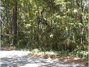 4 Ne1st Street High Springs, FL 32643 - Photo 1 of 1