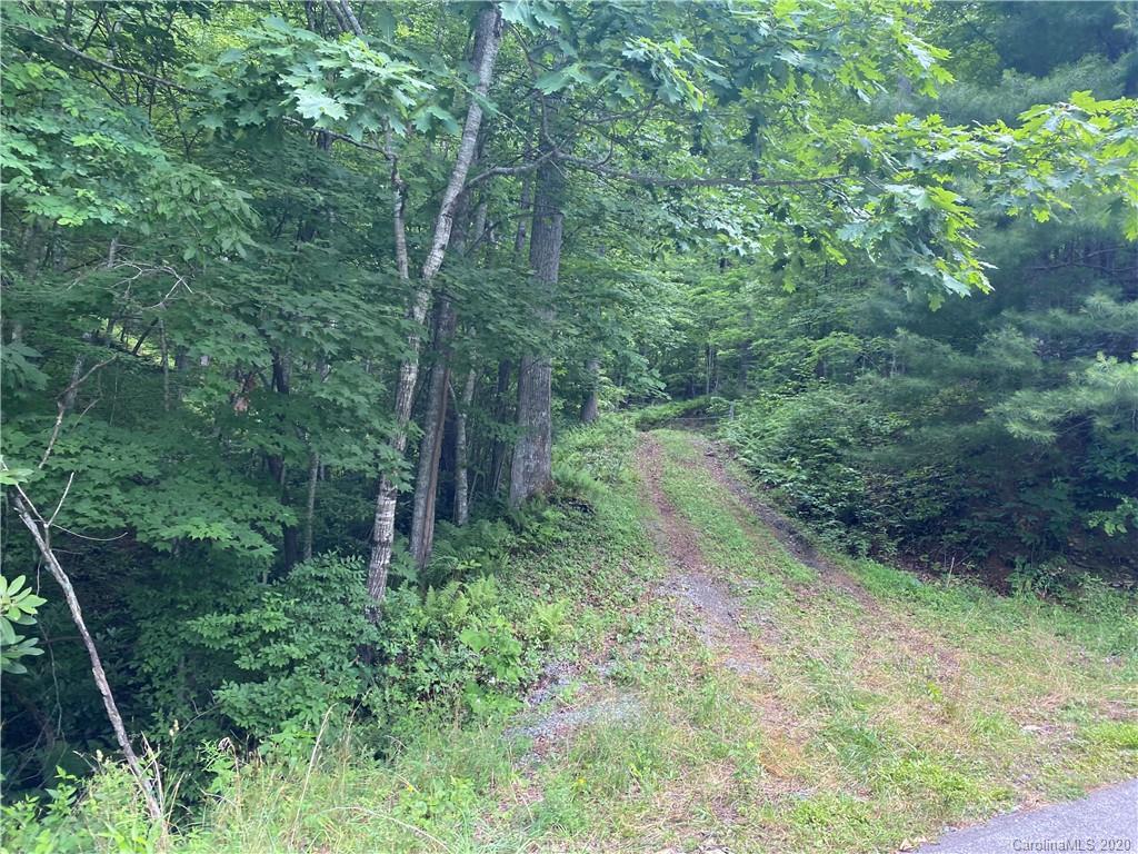 Tbd Spring Brook Lane Brevard, NC 28712 - Photo 2 of 2