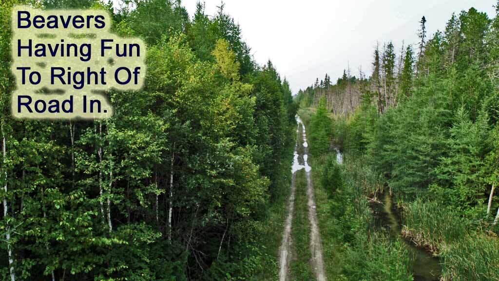 Lot 7 Off Pulcifer Road Mapleton, ME 04757 - Photo 5 of 11 road-into-mapleton-land