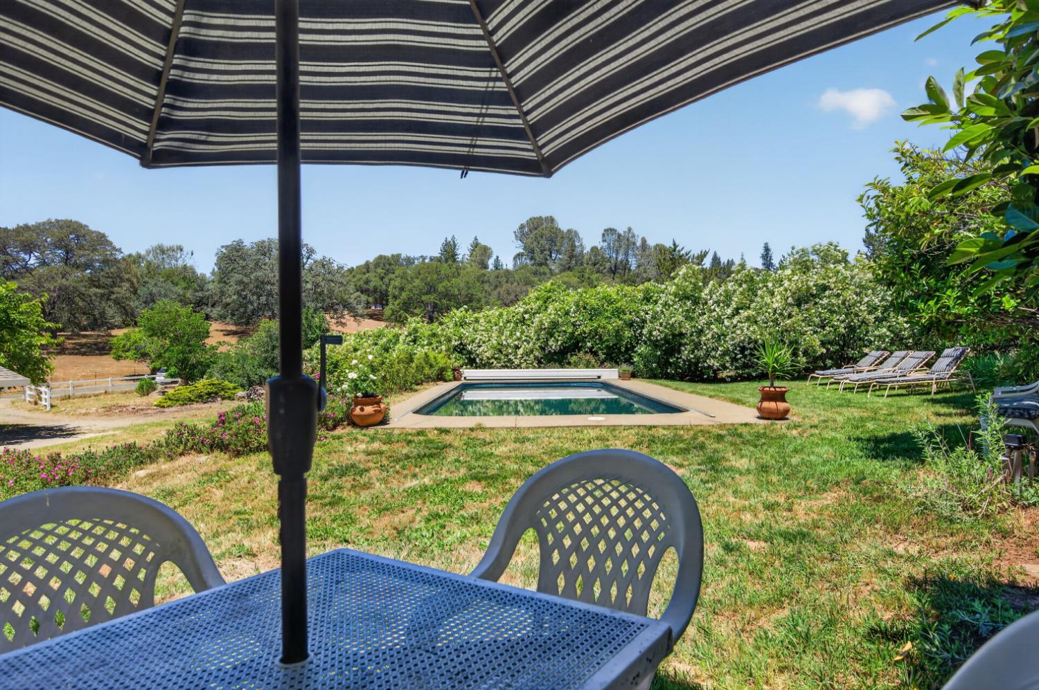 1827 Emmerson Road Placerville, CA 95667 - Photo 60 of 89