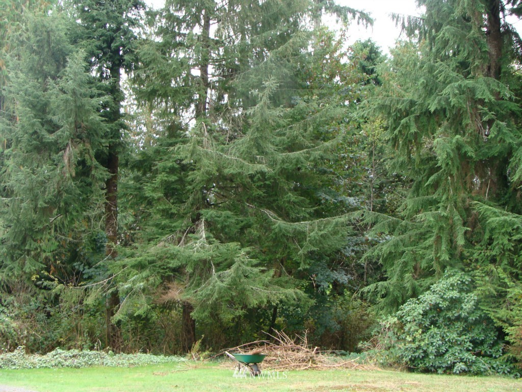 821 Hill Road Aberdeen, WA 98520 - Photo 8 of 24 Gallery Image 8