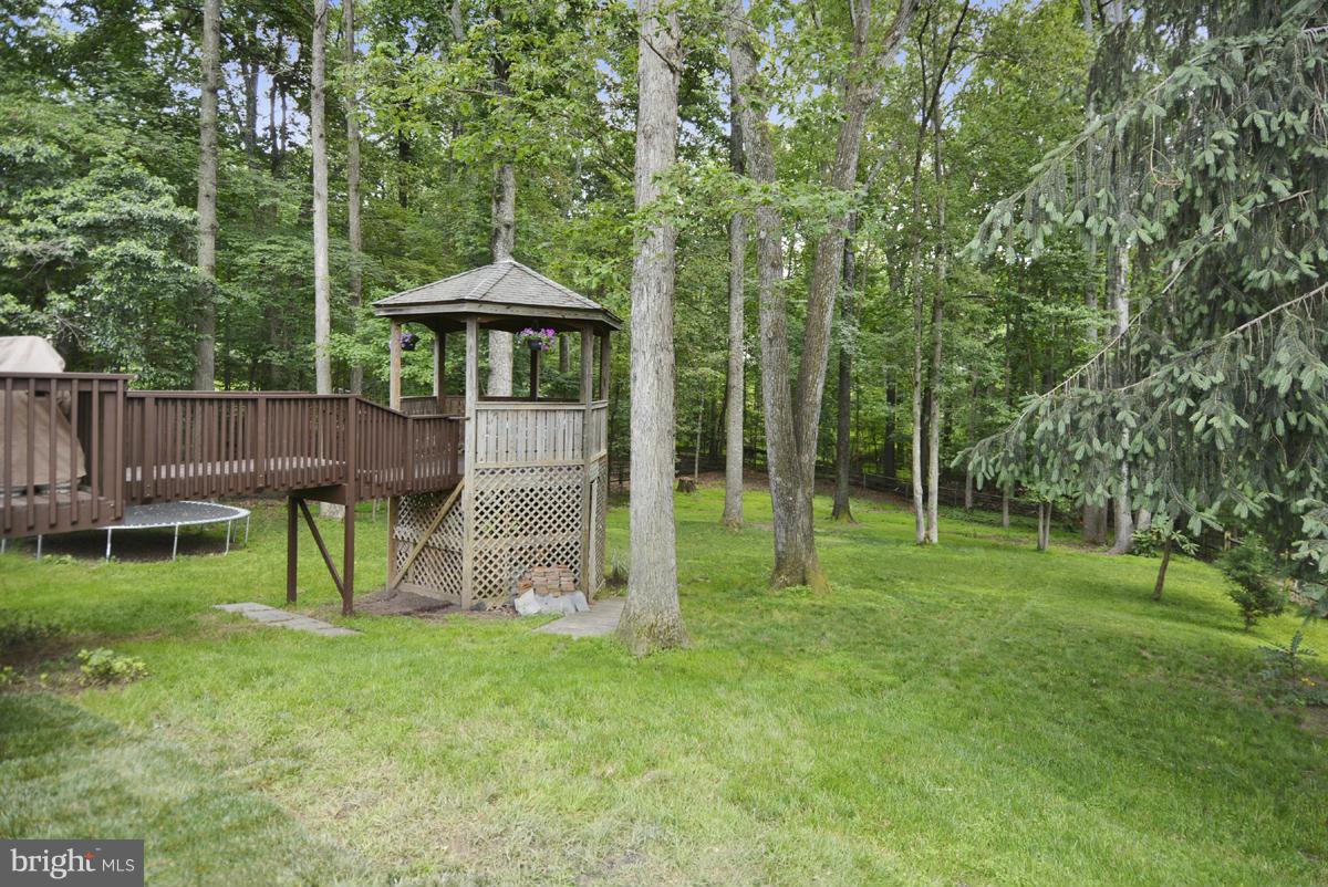 11017 Blue Roan Road Oakton, VA 22124 - Photo 24 of 30 Amazing Backyard