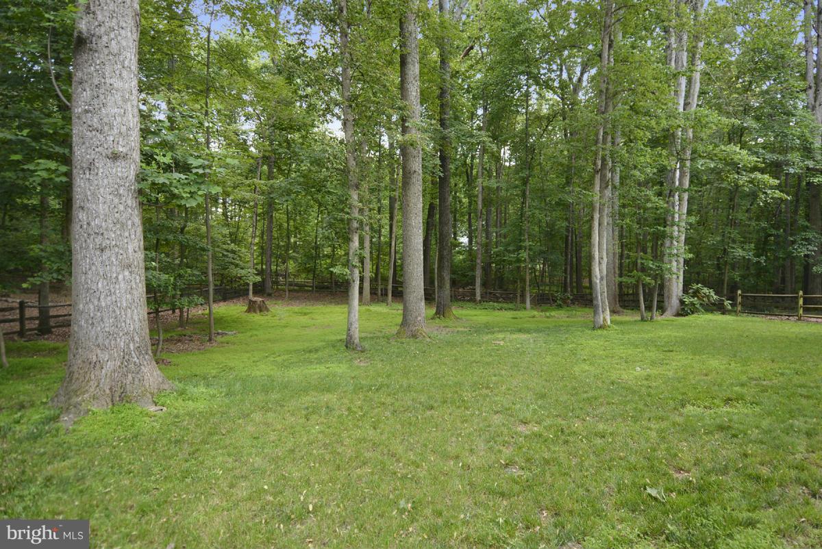 11017 Blue Roan Road Oakton, VA 22124 - Photo 25 of 30 Amazing Backyard