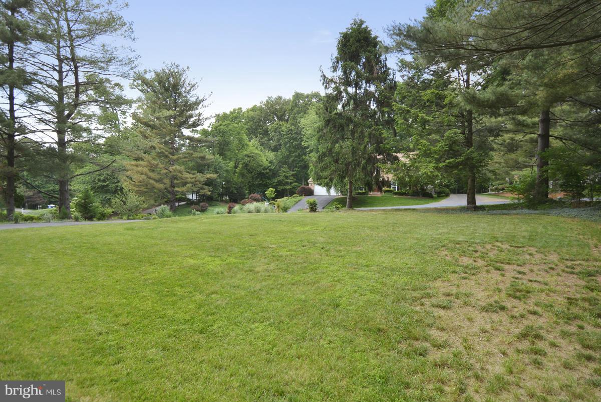 11017 Blue Roan Road Oakton, VA 22124 - Photo 27 of 30 Flat Front Yard (looking toward street)