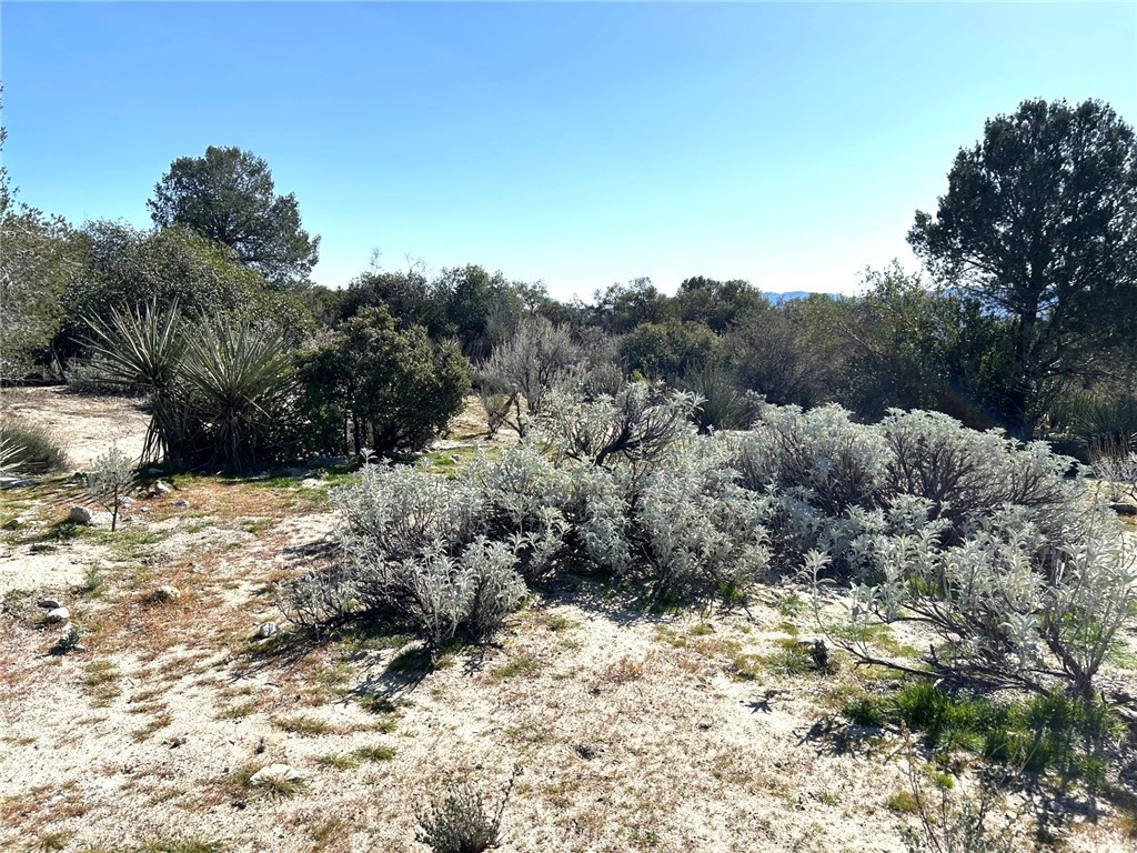 0 Oak Road Anza, CA 92539 - Photo 11 of 29