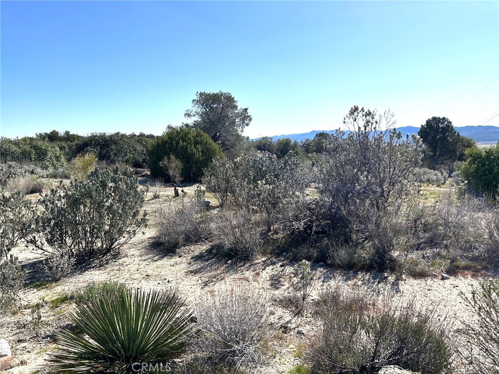 0 Oak Road Anza, CA 92539 - Photo 14 of 29