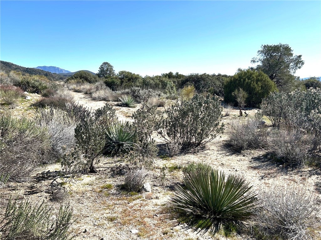 0 Oak Road Anza, CA 92539 - Photo 15 of 29