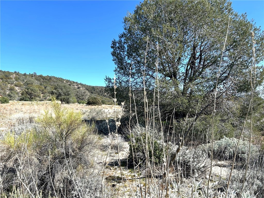 0 Oak Road Anza, CA 92539 - Photo 17 of 29