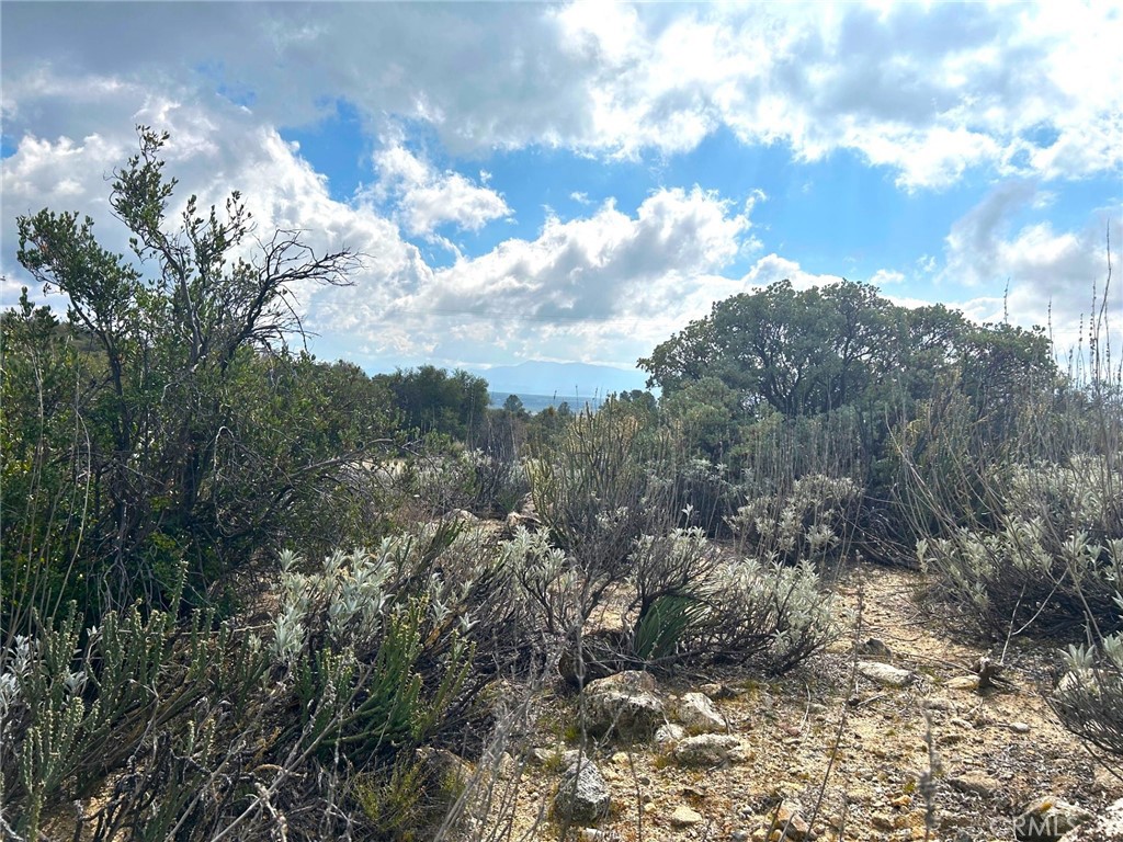 0 Oak Road Anza, CA 92539 - Photo 19 of 29