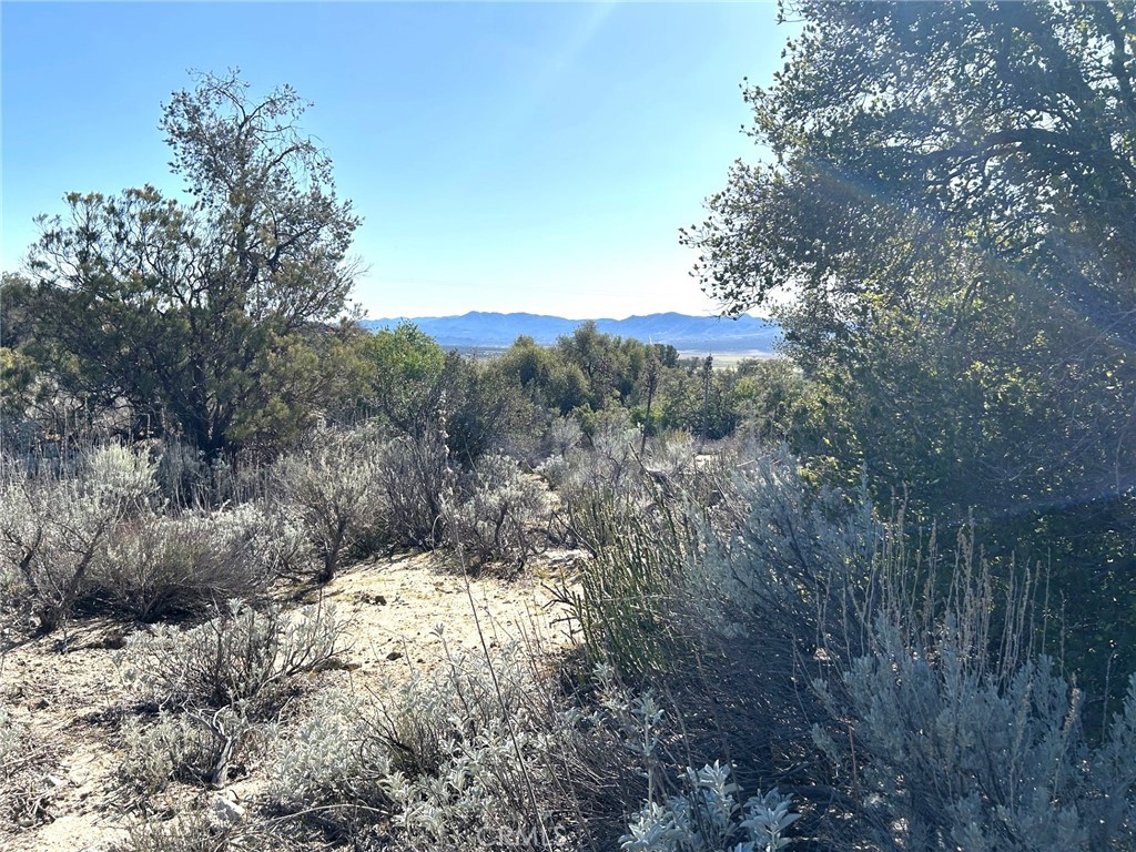 0 Oak Road Anza, CA 92539 - Photo 2 of 29