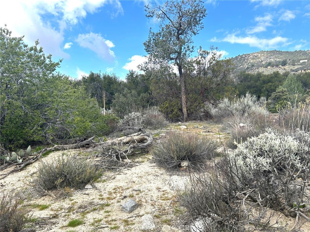 0 Oak Road Anza, CA 92539 - Photo 22 of 29