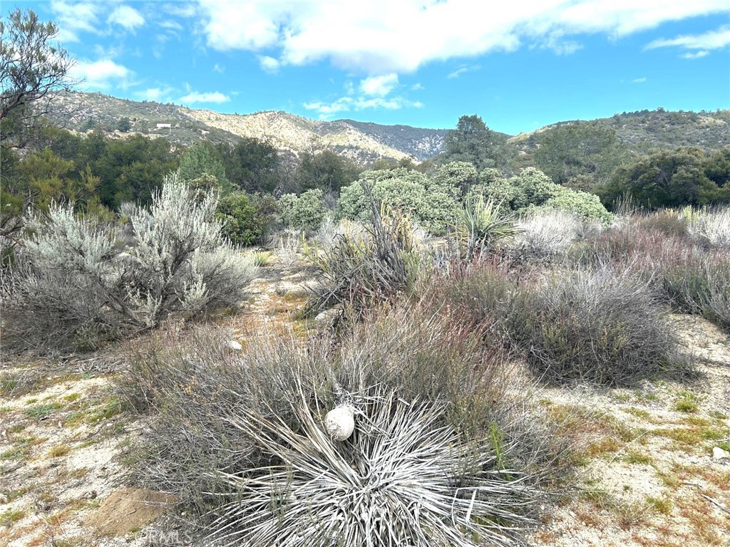 0 Oak Road Anza, CA 92539 - Photo 23 of 29