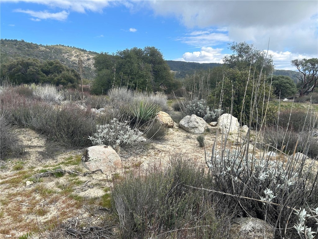 0 Oak Road Anza, CA 92539 - Photo 24 of 29