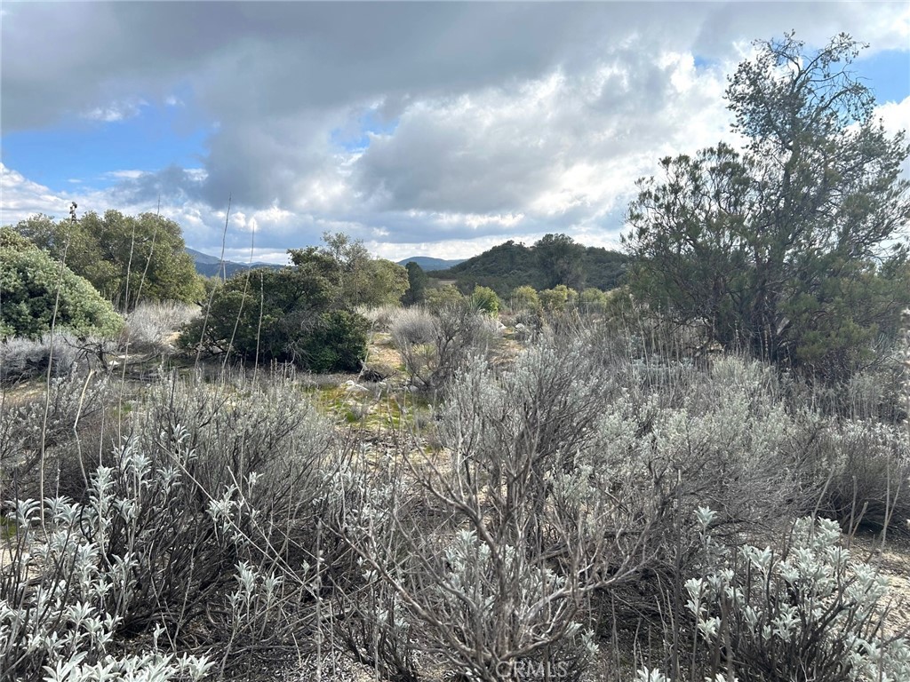 0 Oak Road Anza, CA 92539 - Photo 25 of 29