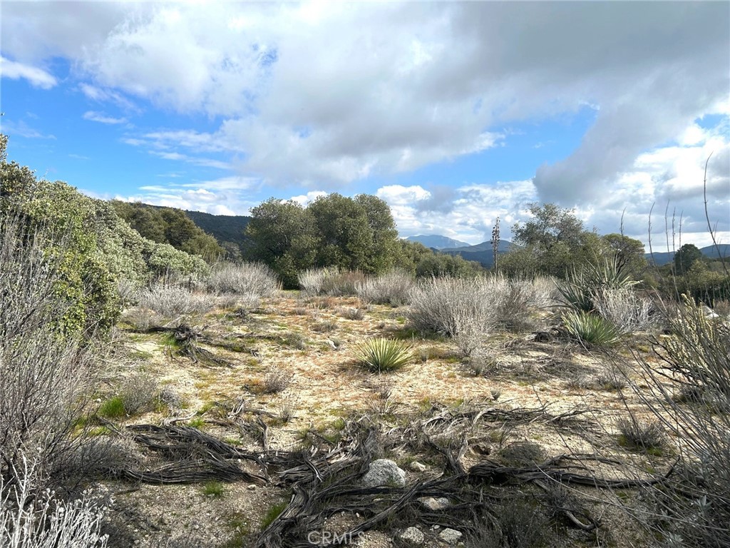 0 Oak Road Anza, CA 92539 - Photo 27 of 29