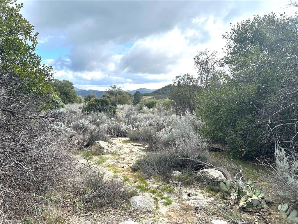 0 Oak Road Anza, CA 92539 - Photo 28 of 29