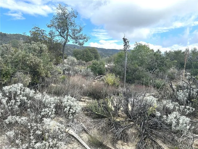 a view of a town with trees in the background