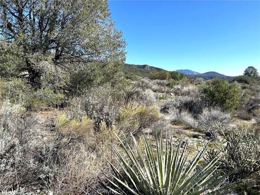 0 Oak Road Anza, CA 92539 - Photo 4 of 29