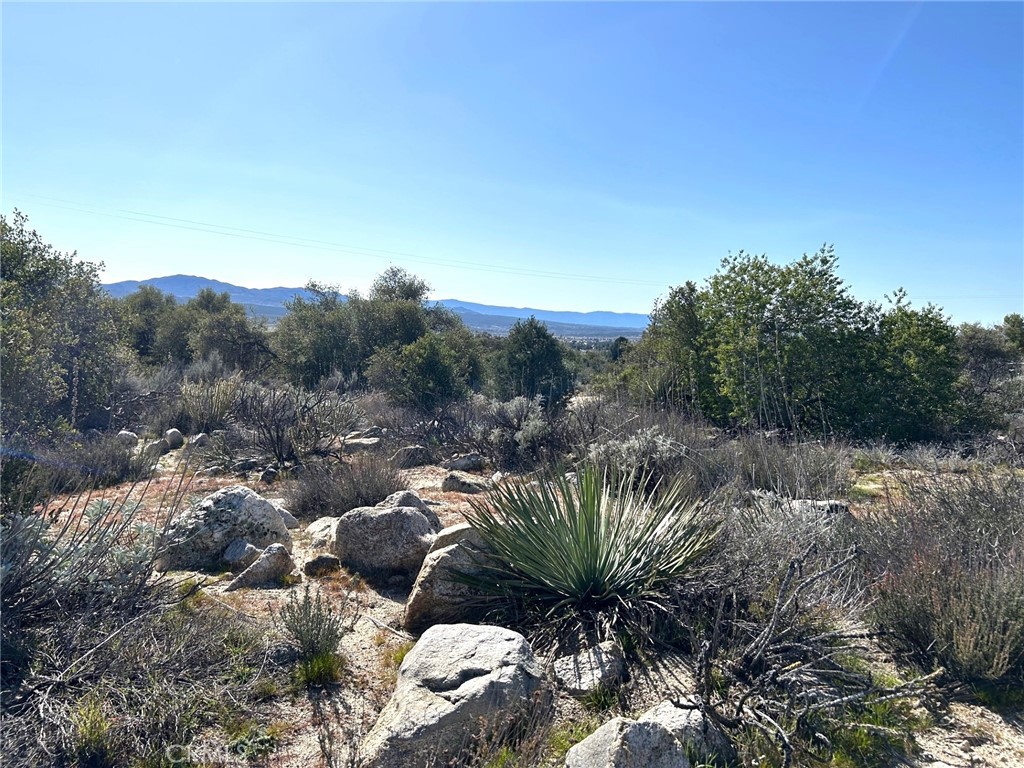 0 Oak Road Anza, CA 92539 - Photo 9 of 29