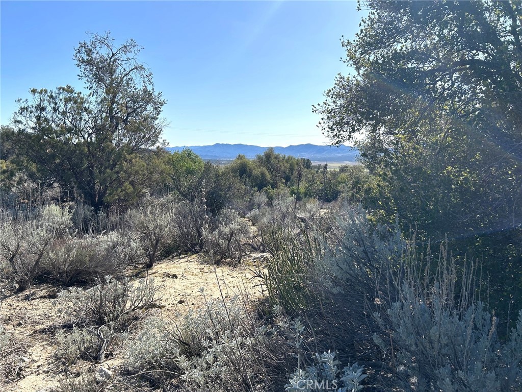 0 Oak Road Anza, CA 92539 - Photo 10 of 29