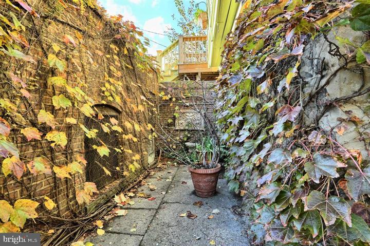 1718 Eutaw Place Baltimore, MD 21217 - Photo 60 of 65 Brick hardscape planters-roses, magnolias, Bos Ivy