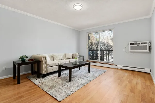 a living room with furniture rug and window