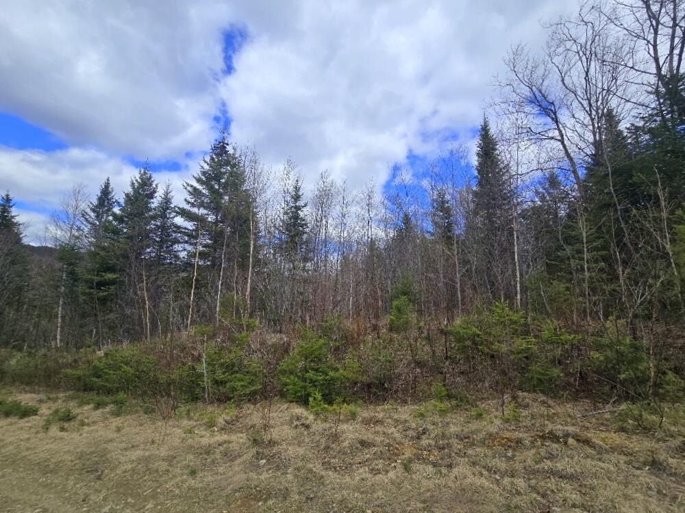 36 Chimney Rock Road Temple, ME 04984 - Photo 4 of 19